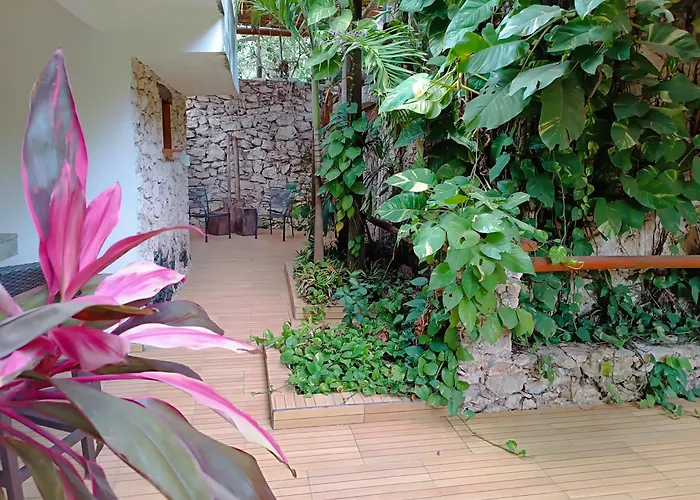 Jungle Lodge Aeropuerto
