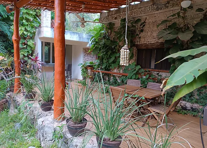 Jungle Lodge Aeropuerto