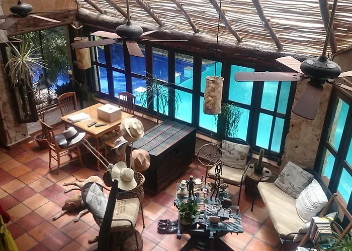 Jungle Lodge Aeropuerto